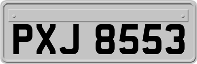 PXJ8553