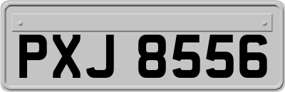 PXJ8556