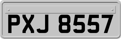 PXJ8557