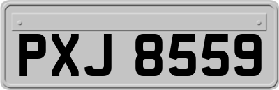 PXJ8559