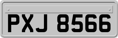 PXJ8566