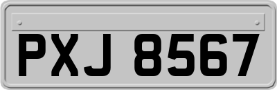 PXJ8567