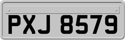 PXJ8579