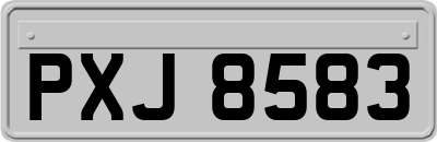 PXJ8583