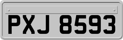 PXJ8593