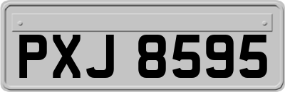 PXJ8595