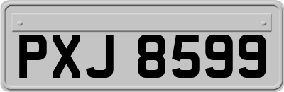 PXJ8599