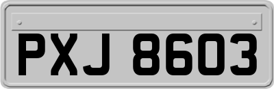 PXJ8603