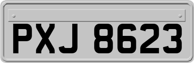 PXJ8623