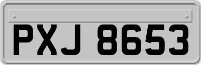 PXJ8653