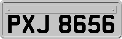 PXJ8656