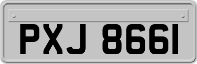 PXJ8661