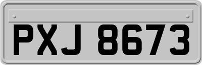 PXJ8673