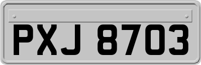 PXJ8703