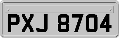 PXJ8704