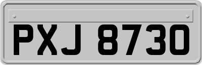 PXJ8730