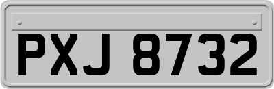 PXJ8732