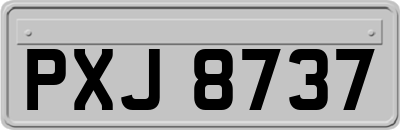 PXJ8737