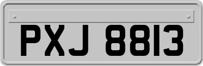 PXJ8813