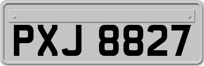 PXJ8827