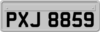 PXJ8859