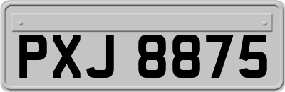 PXJ8875