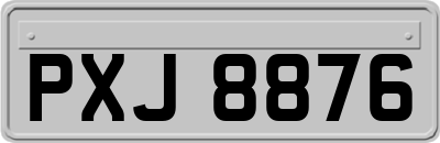 PXJ8876