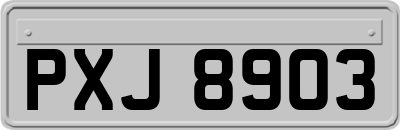 PXJ8903