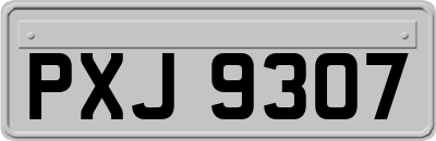 PXJ9307