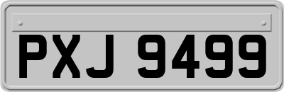 PXJ9499