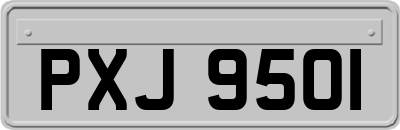 PXJ9501