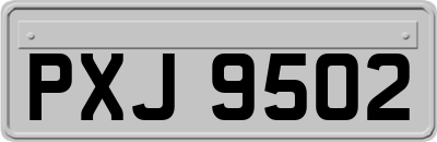 PXJ9502