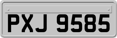 PXJ9585