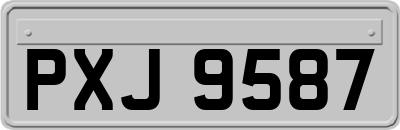 PXJ9587