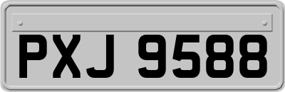 PXJ9588