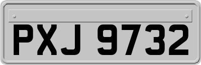 PXJ9732