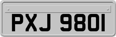 PXJ9801