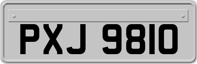 PXJ9810