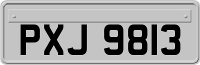 PXJ9813