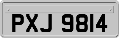 PXJ9814