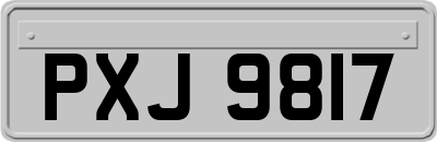 PXJ9817