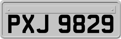 PXJ9829