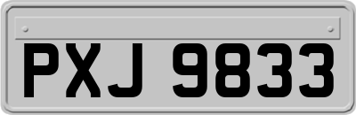 PXJ9833