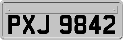 PXJ9842