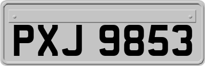 PXJ9853