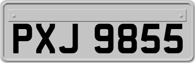 PXJ9855