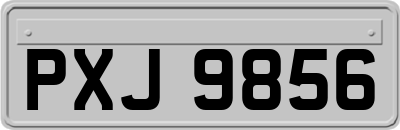 PXJ9856