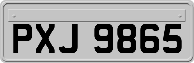 PXJ9865