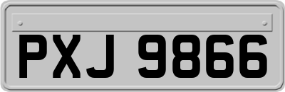 PXJ9866