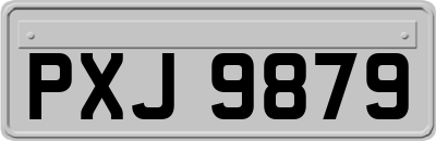 PXJ9879